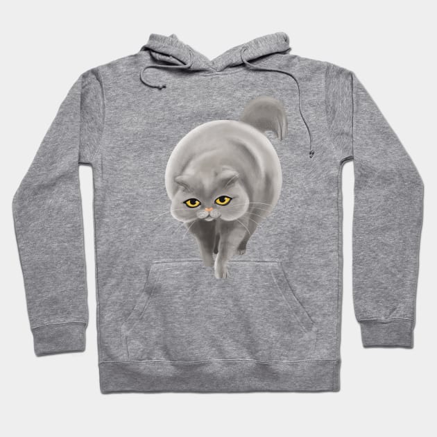 Big grey cat Hoodie by Mimie20